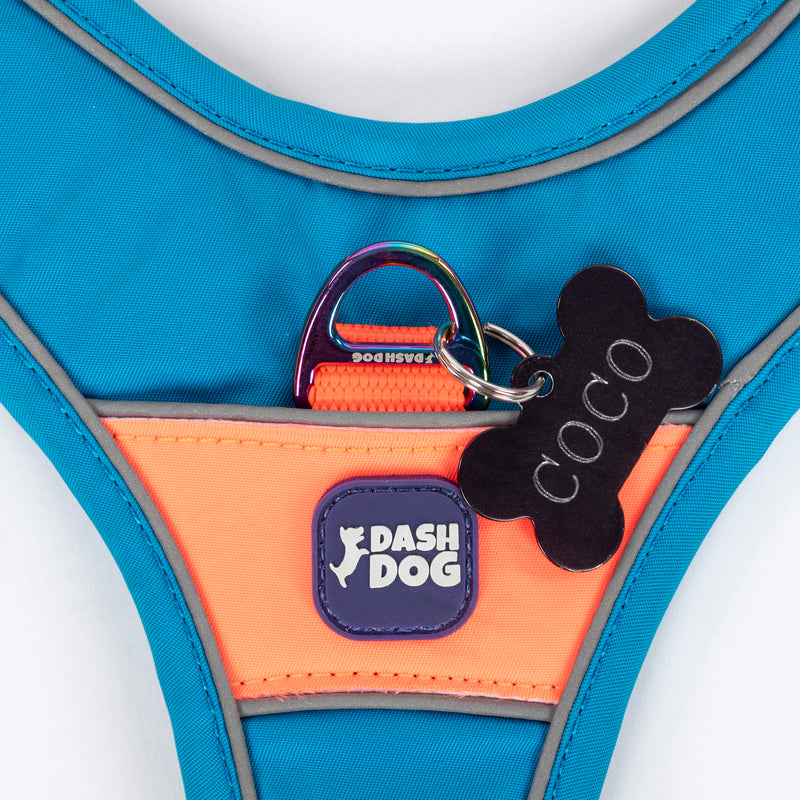 Dash Dog Walk Pro Harness For Dog - Blue & Orange