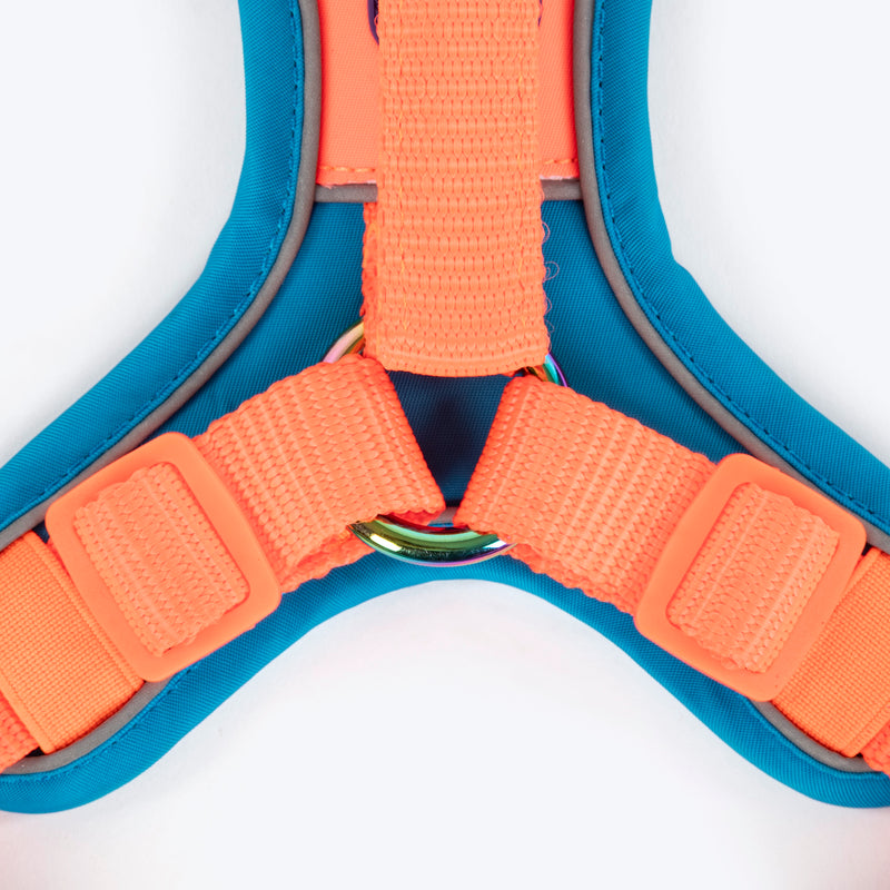 Dash Dog Walk Pro Harness For Dog - Blue & Orange