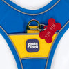 Dash Dog Walk Pro Harness For Dog - Royal Blue & Yellow