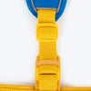 Dash Dog Walk Pro Harness For Dog - Royal Blue & Yellow