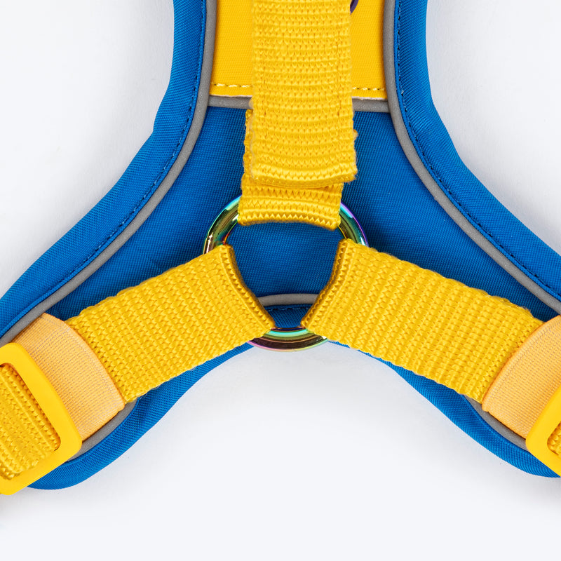 Dash Dog Walk Pro Harness For Dog - Royal Blue & Yellow