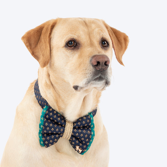 HUFT Shahi Paws Bow Tie With Strap For Dog - Blue & Green - Heads Up For Tails