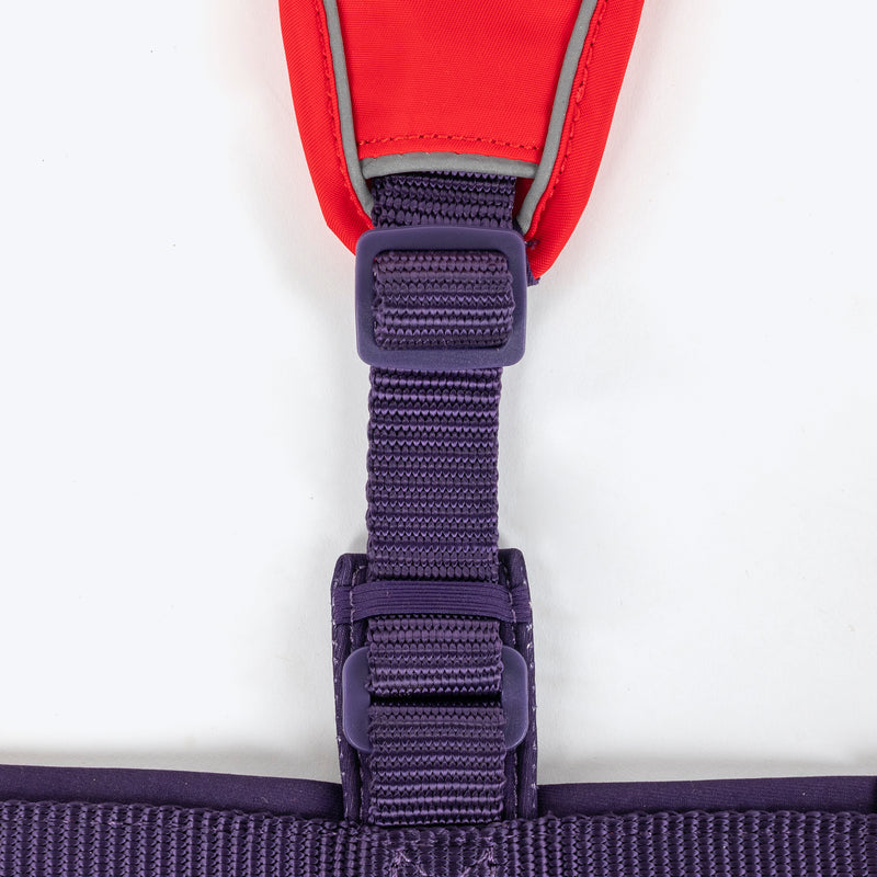 Dash Dog Walk Pro Harness For Dog - Red & Purple