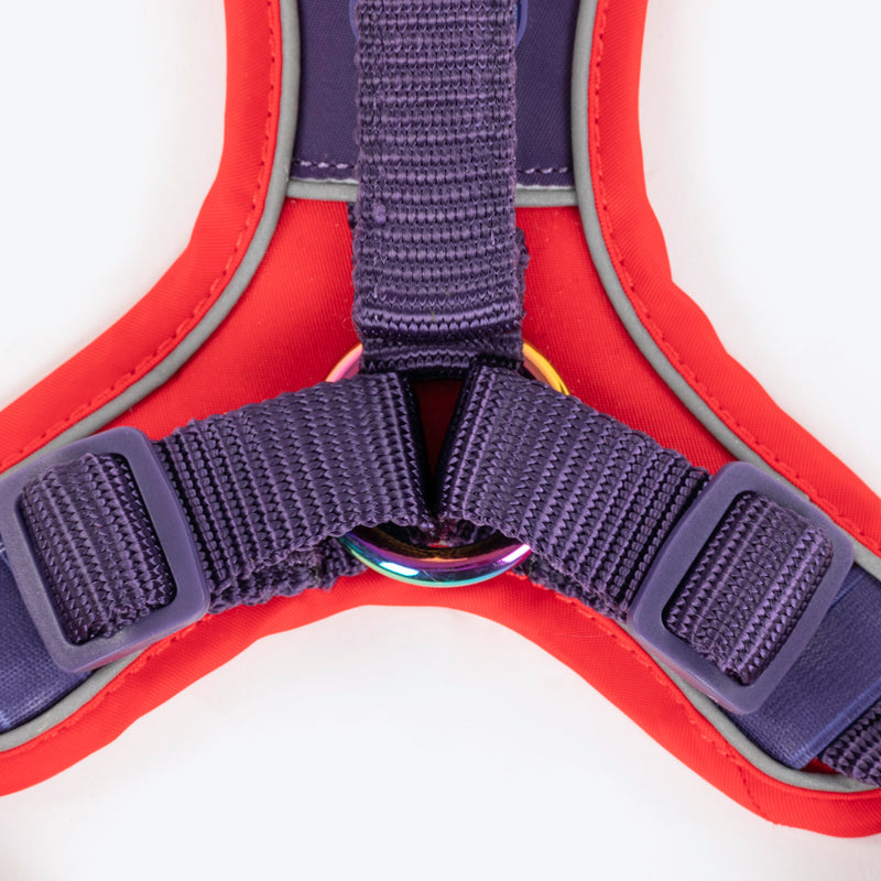 Dash Dog Walk Pro Harness For Dog - Red & Purple