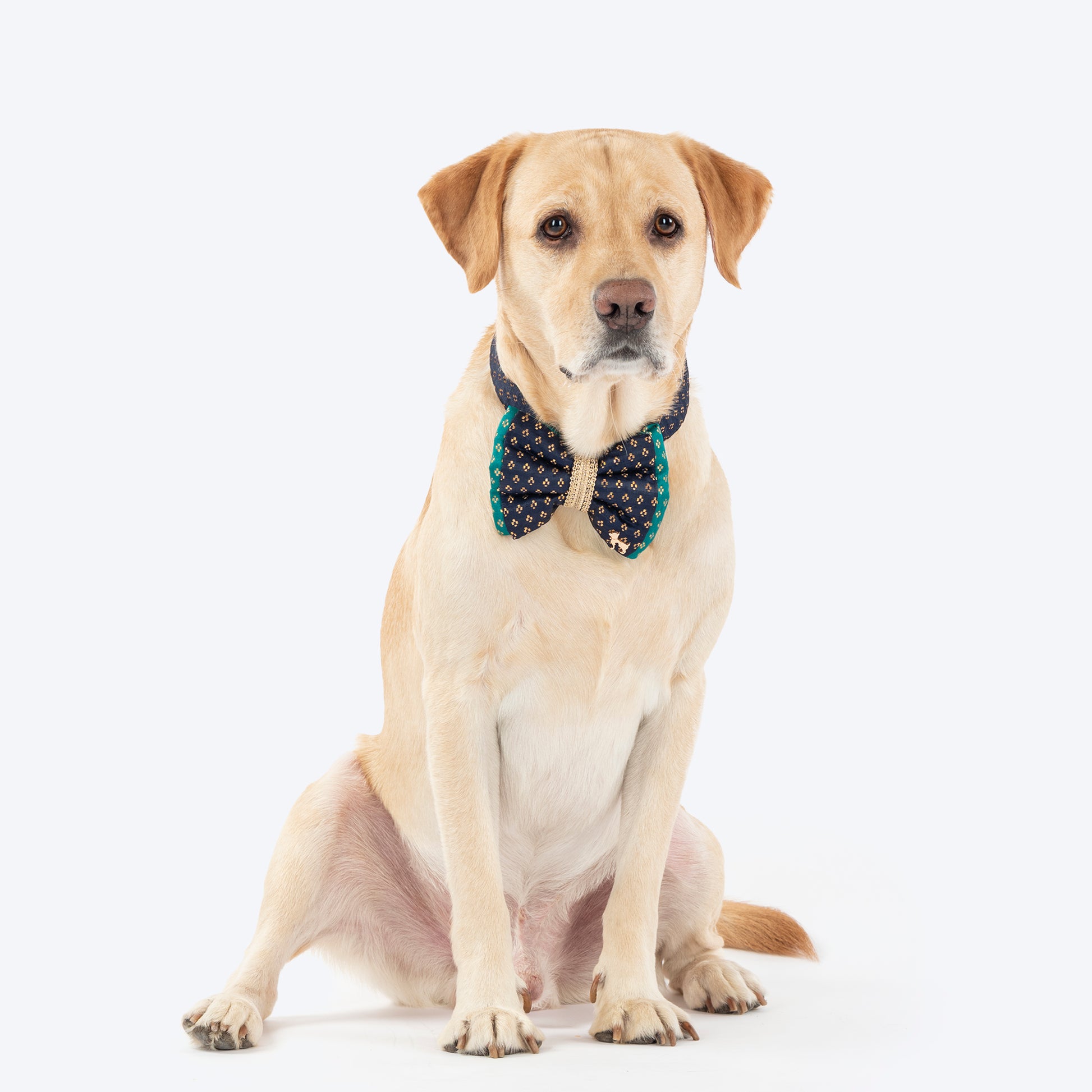 HUFT Shahi Paws Bow Tie With Strap For Dog - Blue & Green - Heads Up For Tails