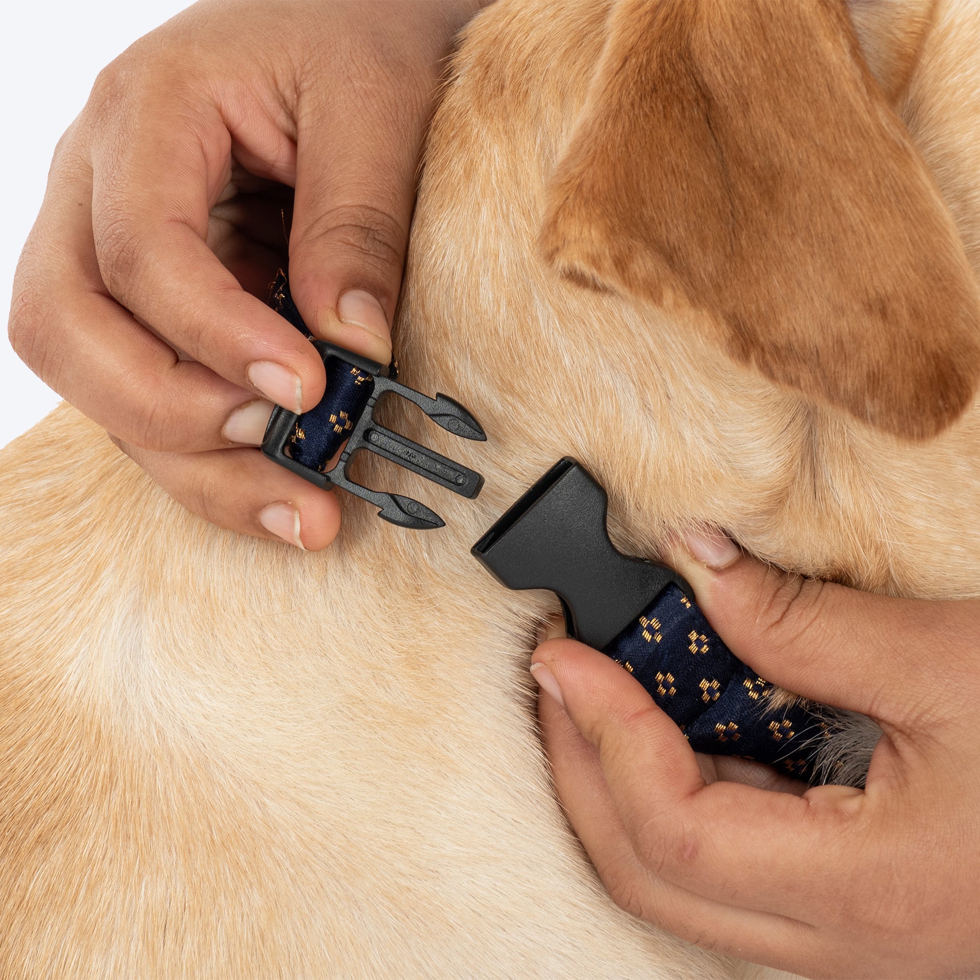 HUFT Shahi Paws Bow Tie With Strap For Dog - Blue & Green - Heads Up For Tails
