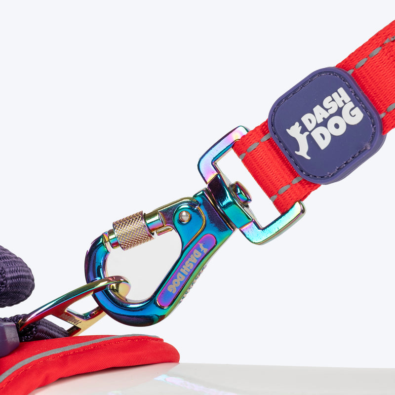 Dash Dog Dual Handle Leash For Dog - Red & Purple