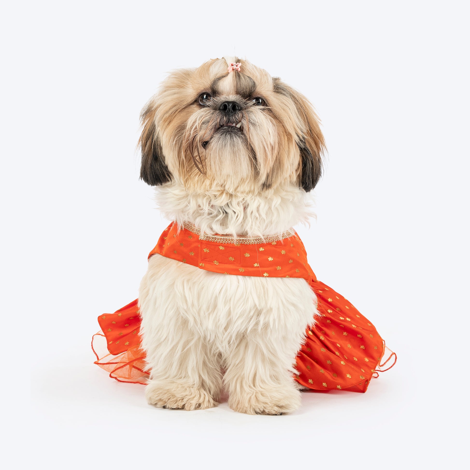 HUFT Desi Dazzle Dress For Dog - Orange - Heads Up For Tails