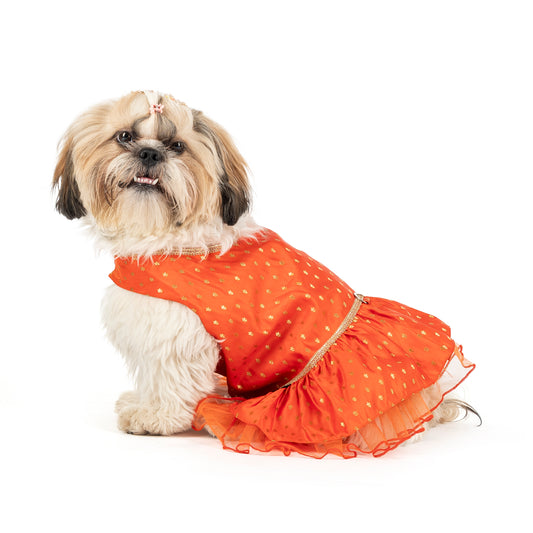 HUFT Desi Dazzle Dress For Dog - Orange