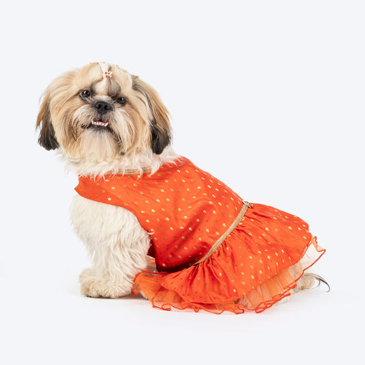 HUFT Desi Dazzle Dress For Dog - Orange