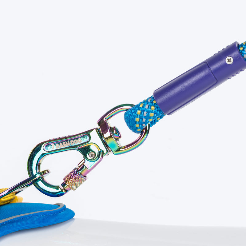 Dash Dog Chaser Rope Leash For Dog - Royal Blue