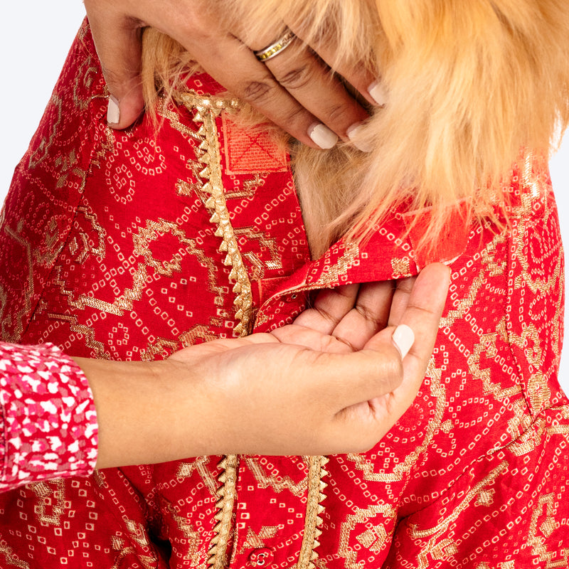 HUFT Festive Bliss Kurta For Dog - Red - Heads Up For Tails