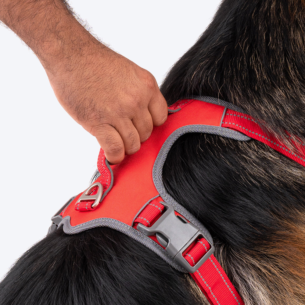 HUFT Active Pet Dog Harness - Red_10