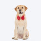 HUFT Super Sitara Bow Tie With Strap For Dog - Red