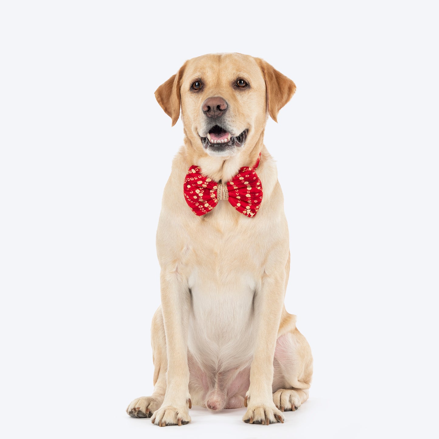 HUFT Super Sitara Bow Tie With Strap For Dog - Red