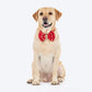 HUFT Super Sitara Bow Tie With Strap For Dog - Red - Heads Up For Tails