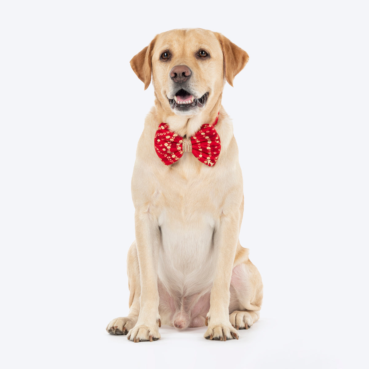 HUFT Super Sitara Bow Tie With Strap For Dog - Red