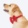 HUFT Super Sitara Bow Tie With Strap For Dog - Red - Heads Up For Tails