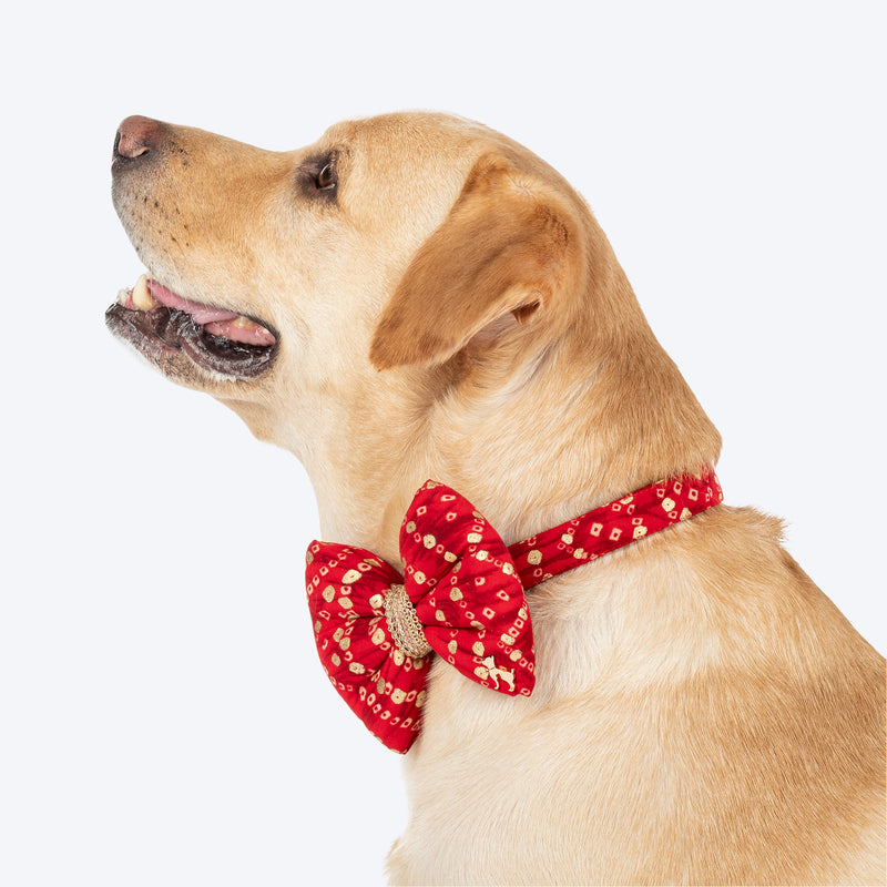HUFT Super Sitara Bow Tie With Strap For Dog - Red - Heads Up For Tails