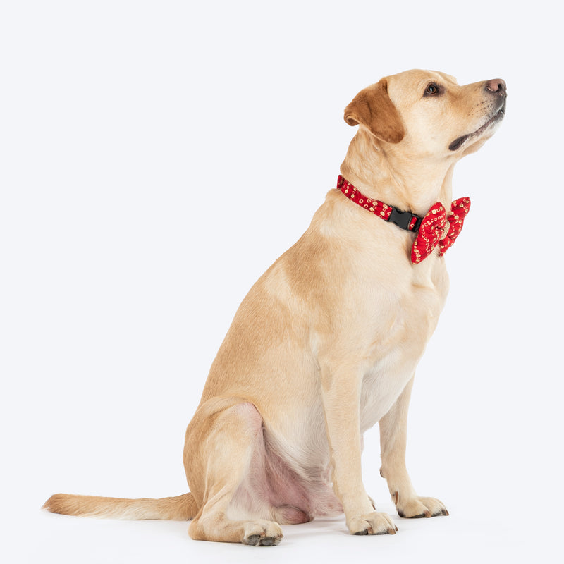 HUFT Super Sitara Bow Tie With Strap For Dog - Red - Heads Up For Tails