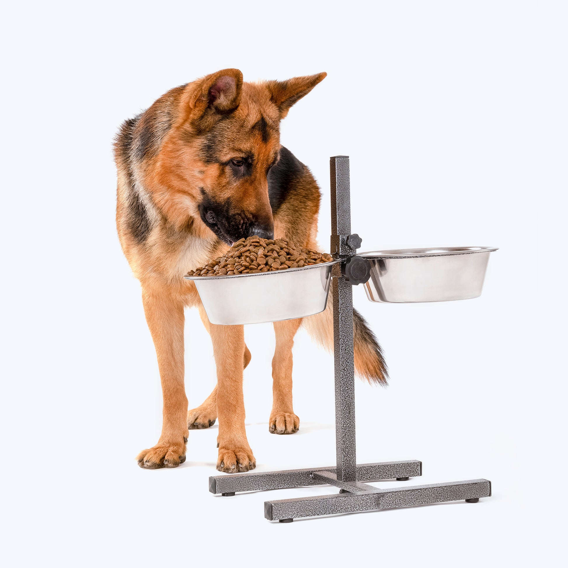 SUPER H Shaped Double Diner Stand With Steel Dog Bowl Inserts - Charcoal Black (Medium)_04