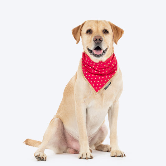 HUFT Desi Glam Knot Bandana For Dog - Pink