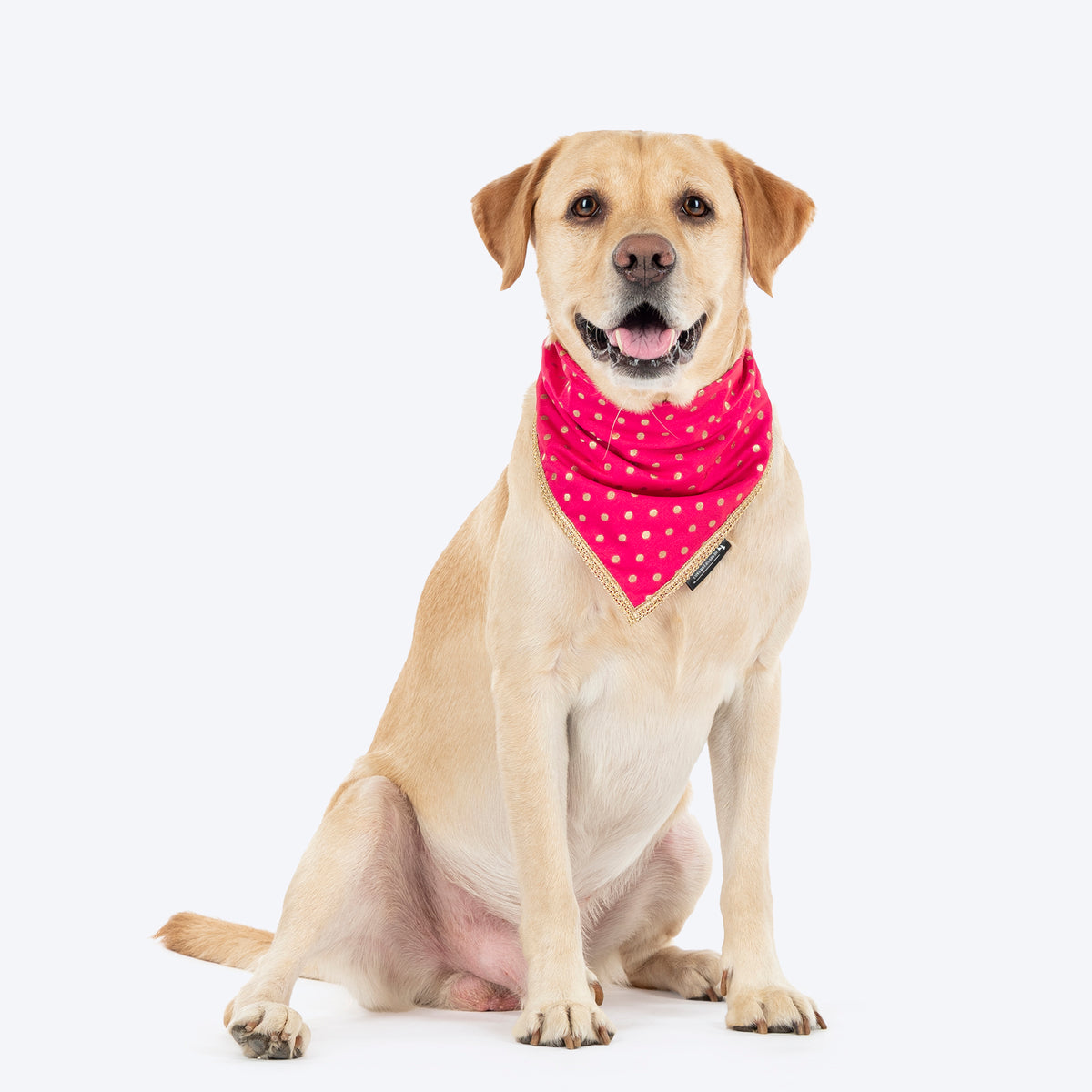 HUFT Desi Glam Knot Bandana For Dog - Pink
