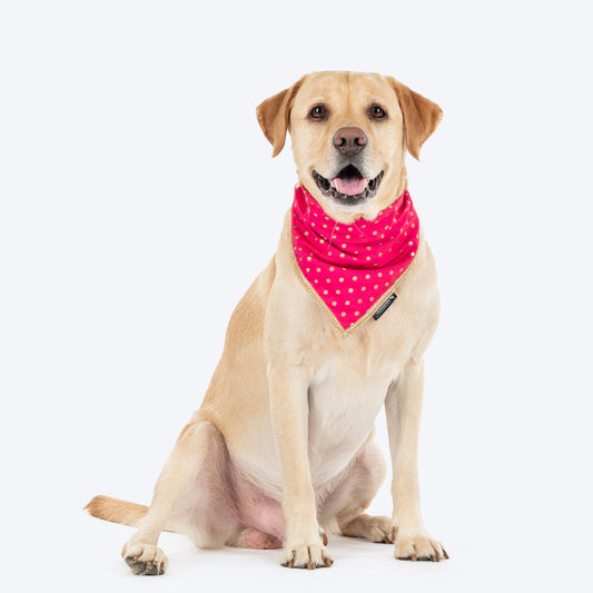 HUFT Desi Glam Knot Bandana For Dog - Pink