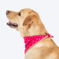 HUFT Desi Glam Knot Bandana For Dog - Pink - Heads Up For Tails