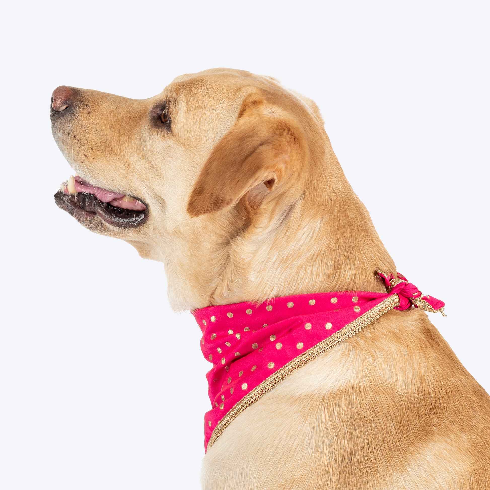 HUFT Desi Glam Knot Bandana For Dog - Pink - Heads Up For Tails