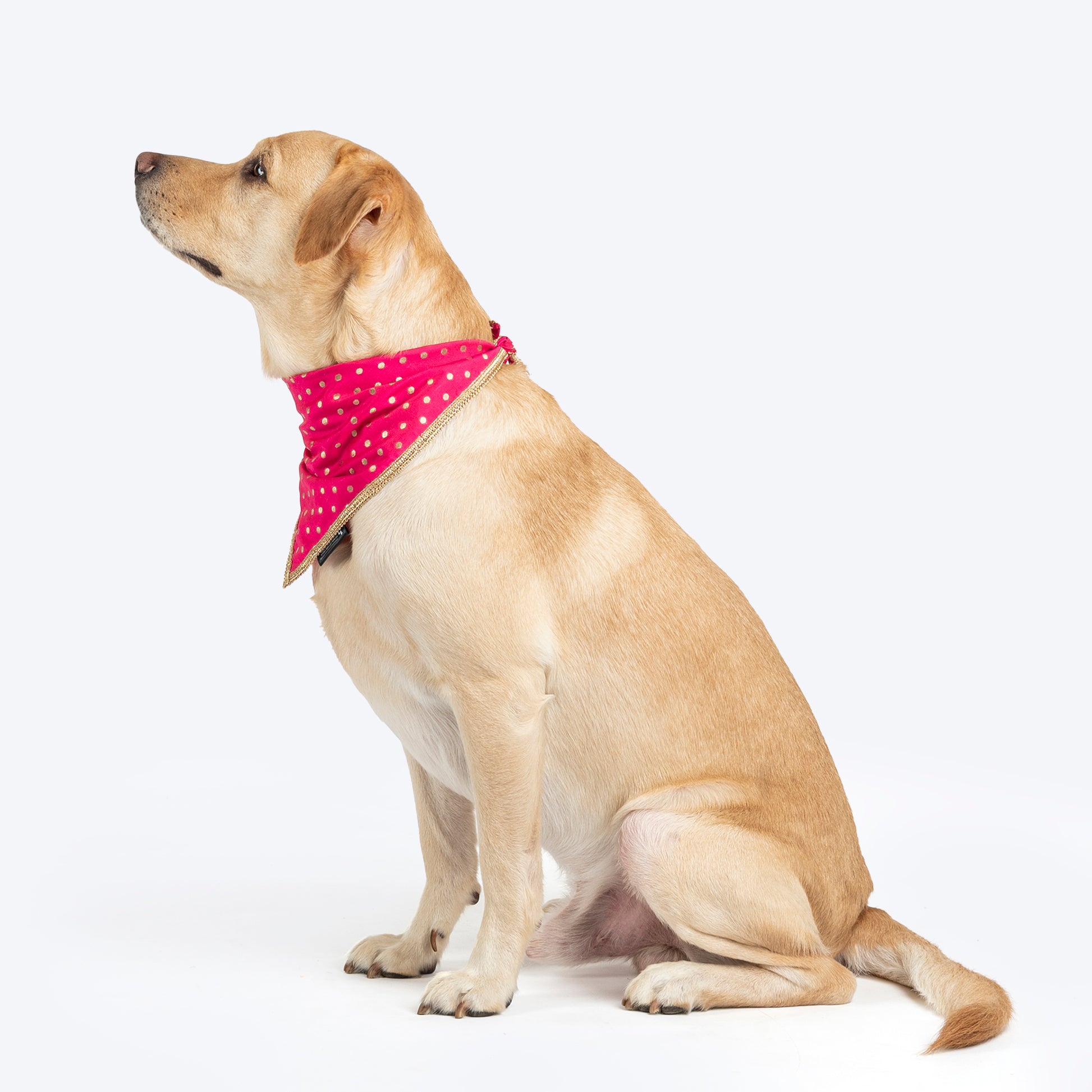 HUFT Desi Glam Knot Bandana For Dog - Pink - Heads Up For Tails