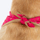 HUFT Desi Glam Knot Bandana For Dog - Pink - Heads Up For Tails