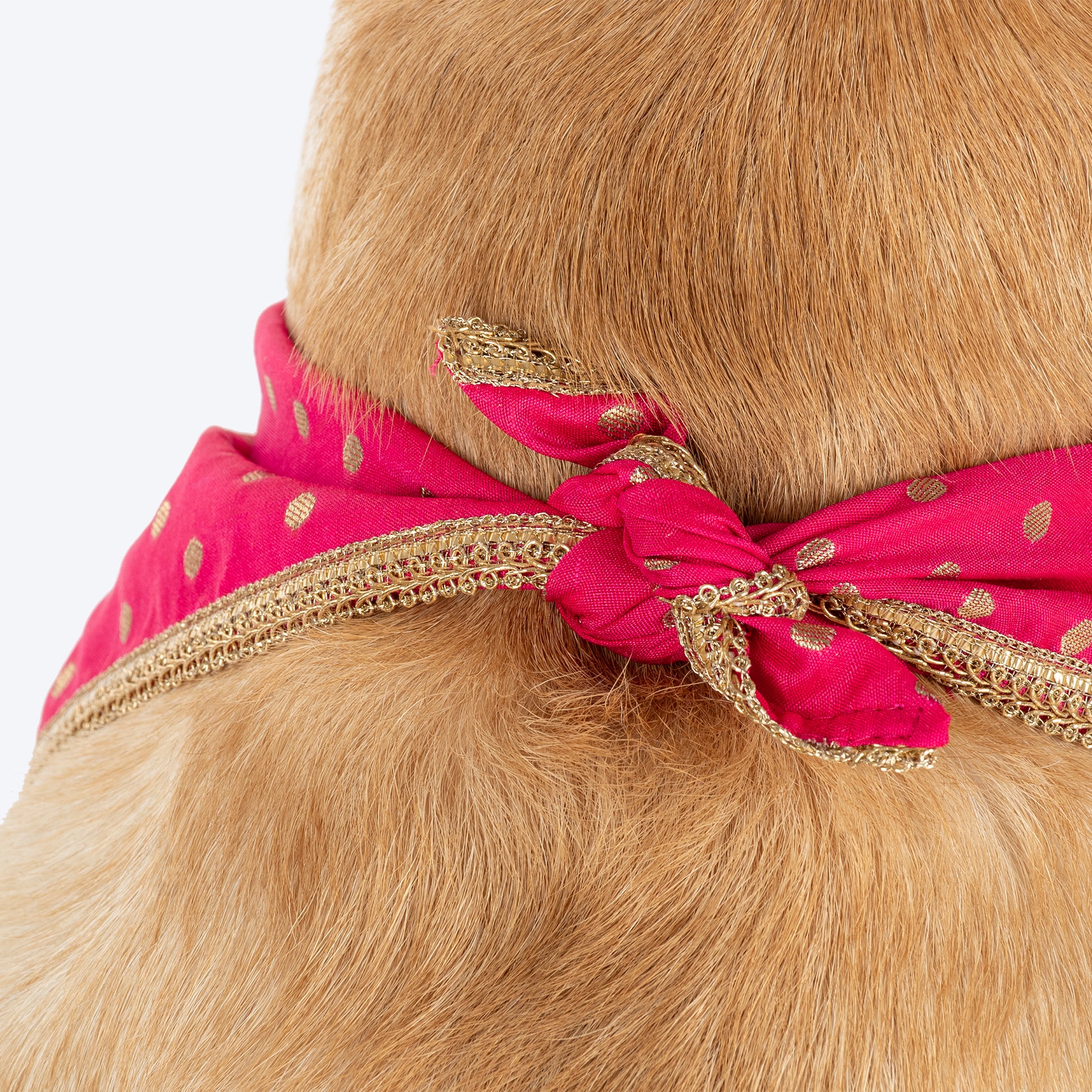 HUFT Desi Glam Knot Bandana For Dog - Pink - Heads Up For Tails