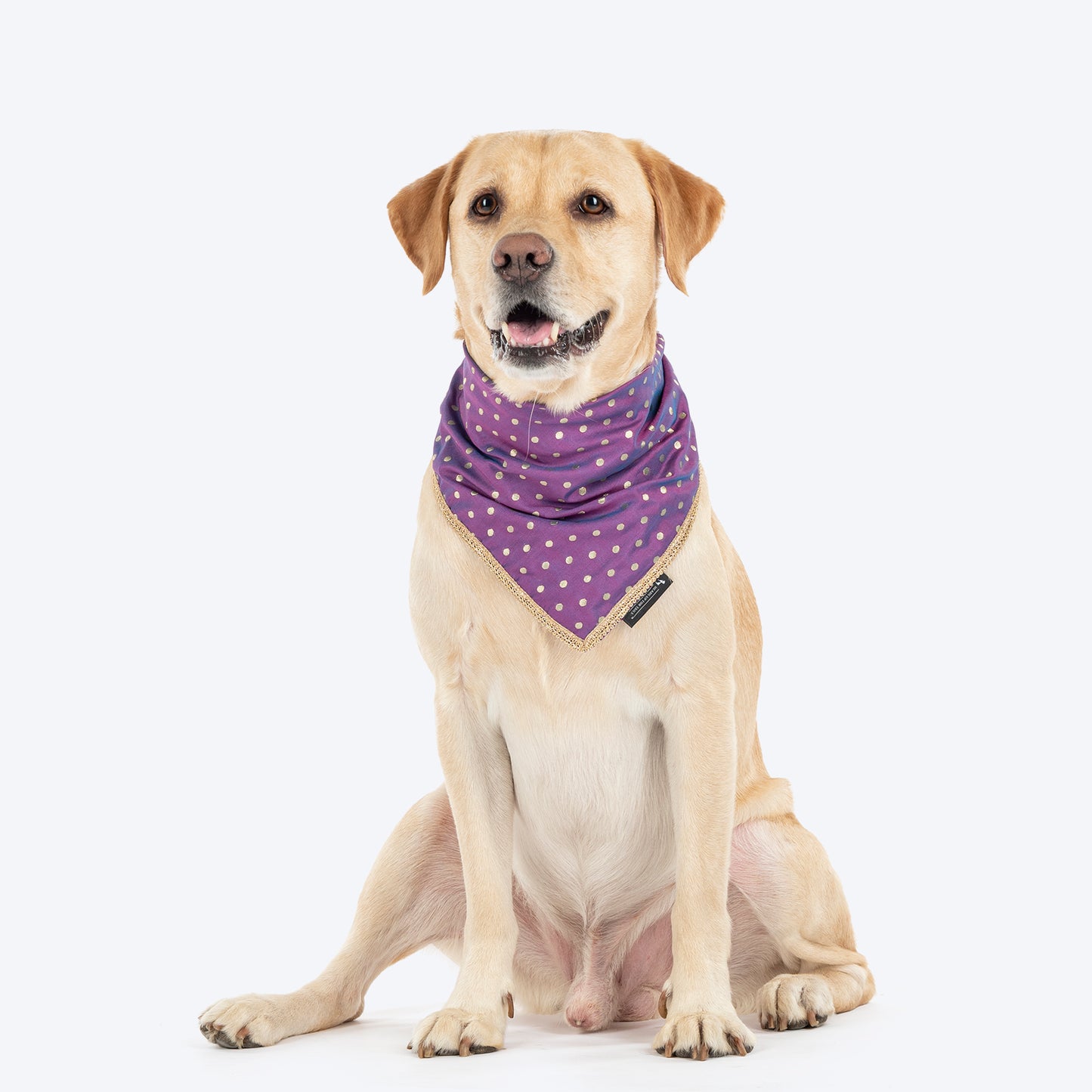 HUFT Desi Glam Knot Bandana For Dog - Purple