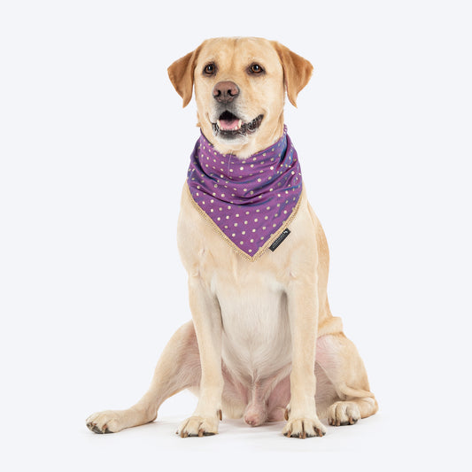 HUFT Desi Glam Knot Bandana For Dog - Purple