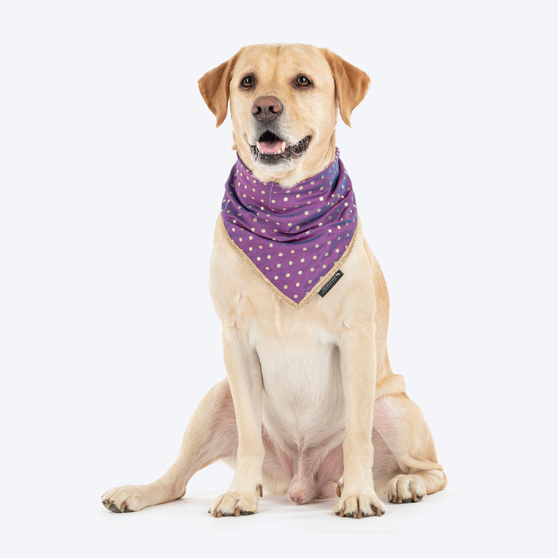 HUFT Desi Glam Knot Bandana For Dog - Purple - Heads Up For Tails