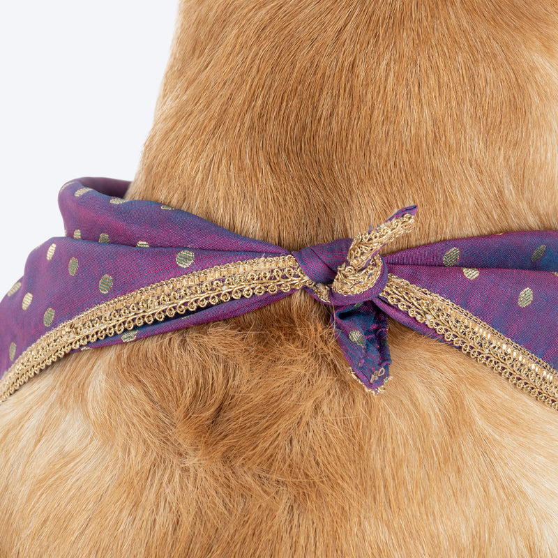 HUFT Desi Glam Knot Bandana For Dog - Purple - Heads Up For Tails