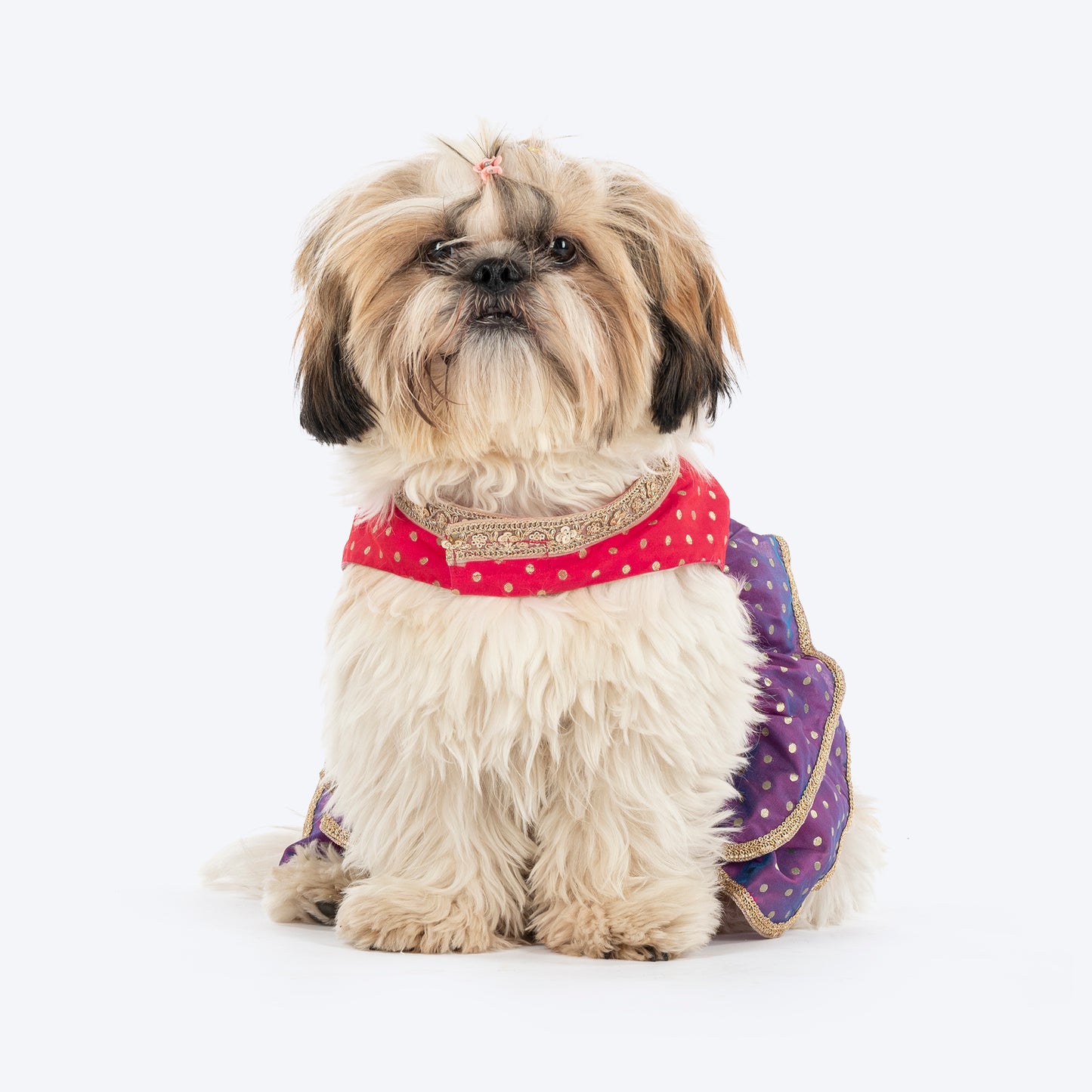 HUFT Desi Glam Dress For Dog - Pink & Purple