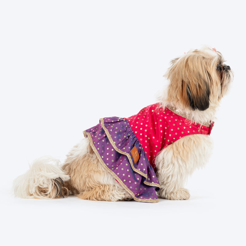 HUFT Desi Glam Dress For Dog - Pink & Purple - Heads Up For Tails