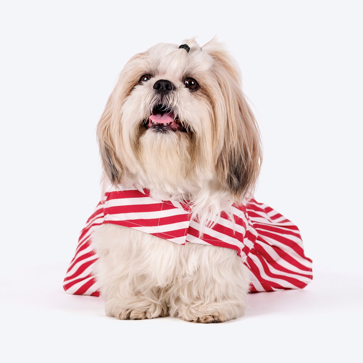 HUFT Printed Cotton Stripe Dress For Dog - Red - Heads Up For Tails