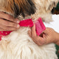 HUFT Desi Glam Dress For Dog - Pink & Purple