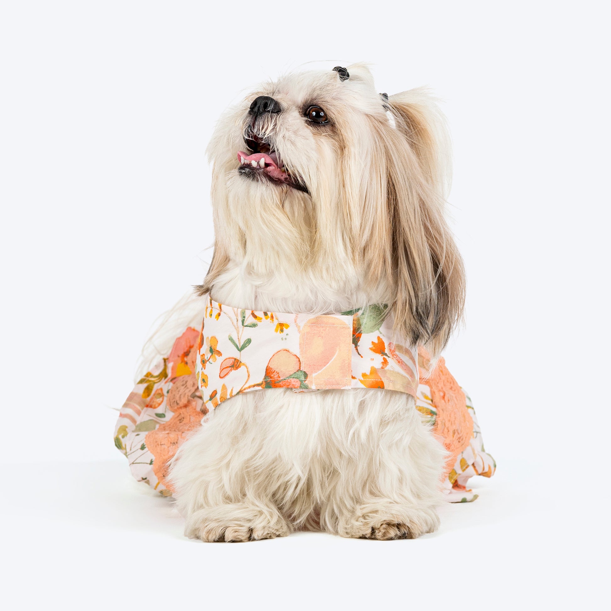 HUFT Printed Floral Cotton Dress For Dog - Multicolor - Heads Up For Tails