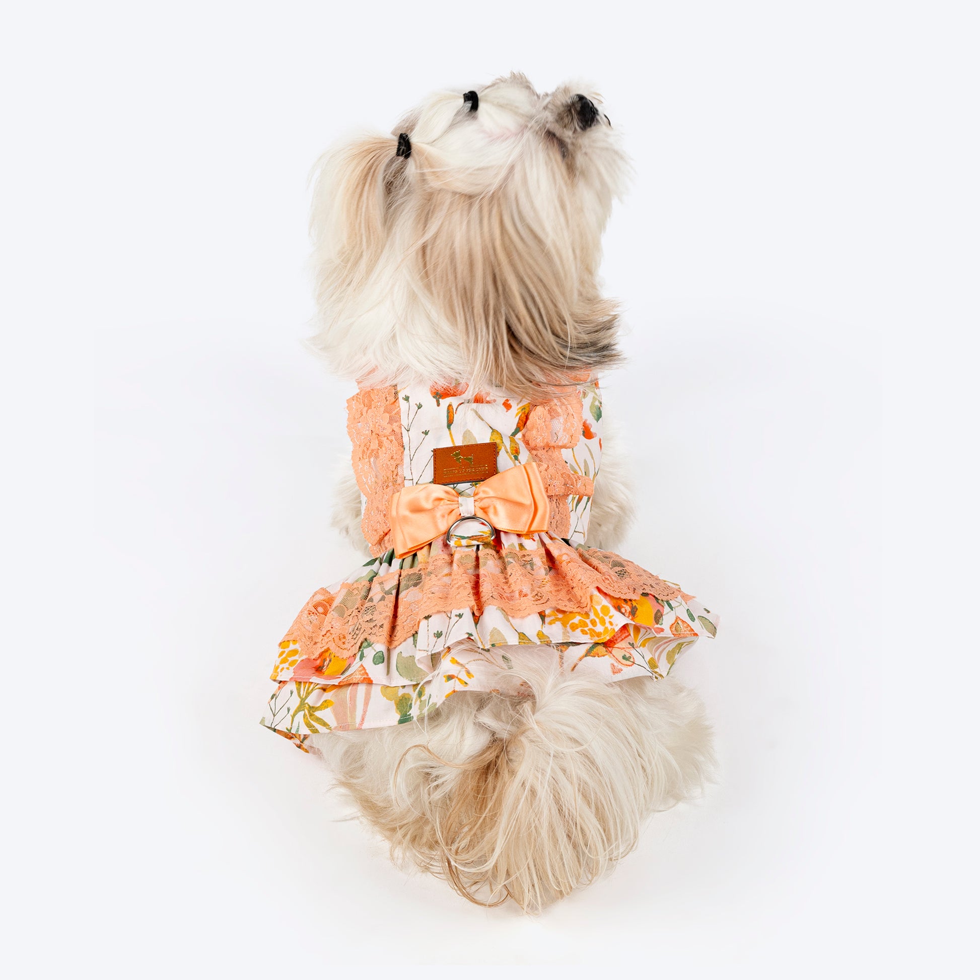 HUFT Printed Floral Cotton Dress For Dog - Multicolor - Heads Up For Tails