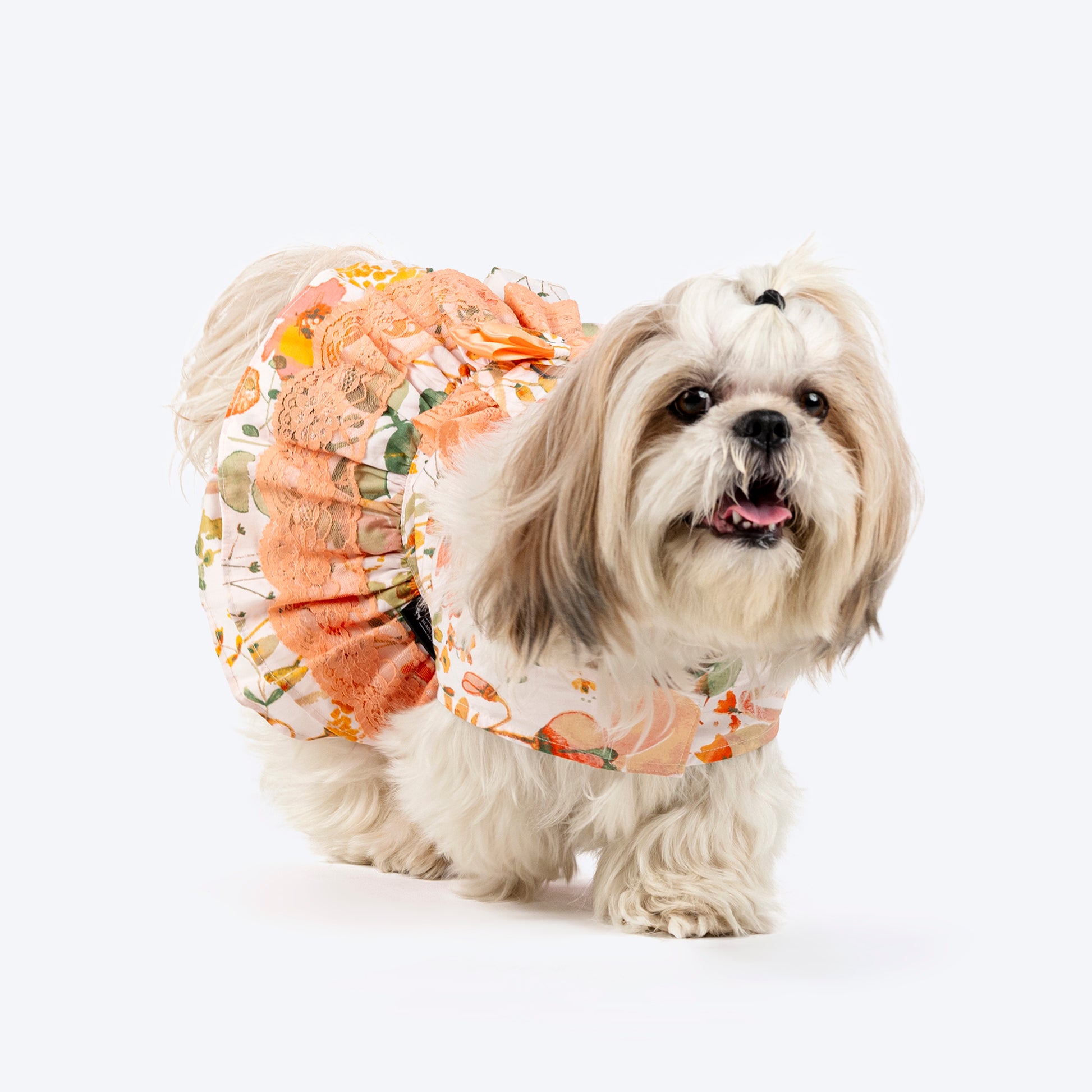 HUFT Printed Floral Cotton Dress For Dog - Multicolor - Heads Up For Tails