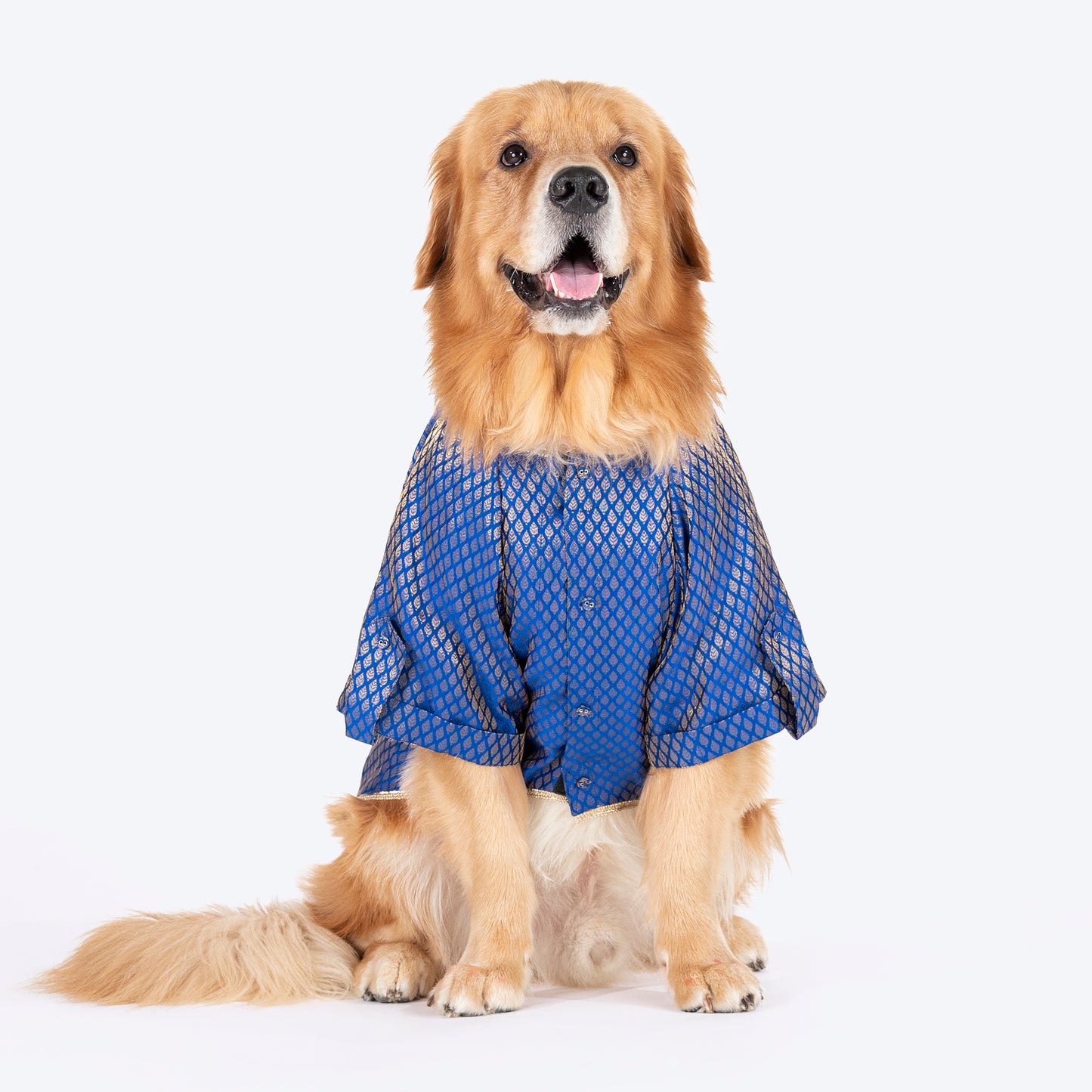 HUFT Dapper Doggo Kurta For Dog - Blue_03