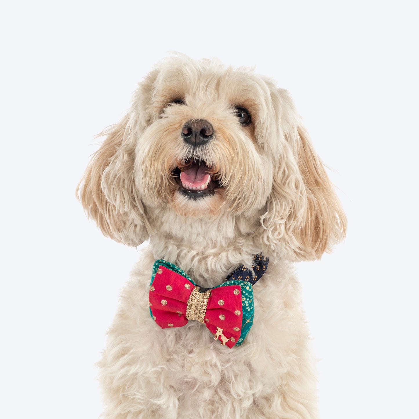 HUFT Desi Glam Bow Tie For Dog - Pink & Green