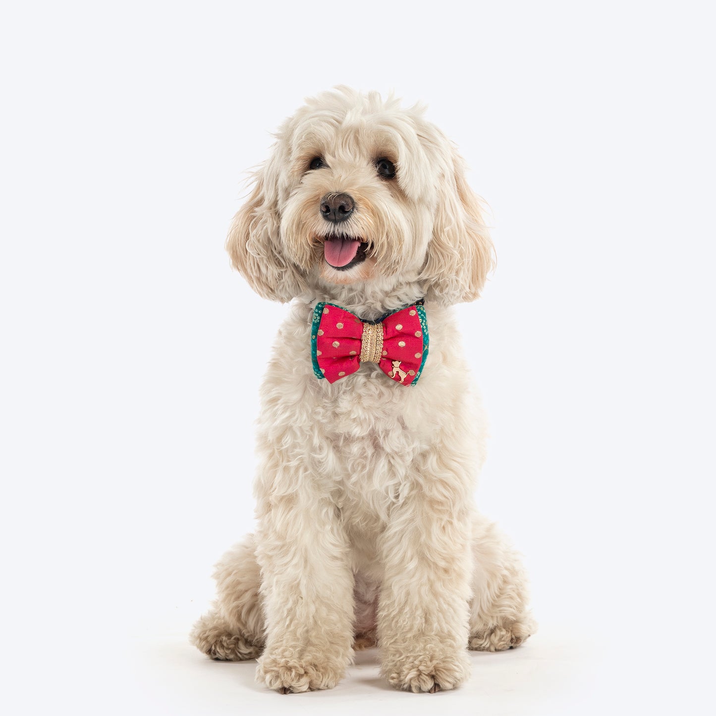 HUFT Desi Glam Bow Tie For Dog - Pink & Green