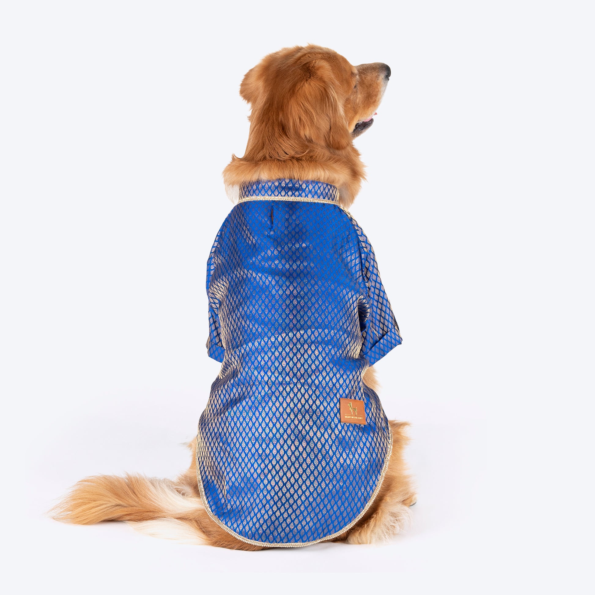 HUFT Dapper Doggo Kurta For Dog - Blue_01