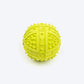 TLC Dotted Textured Ball Squeaky Chew Toy For Dog - Green