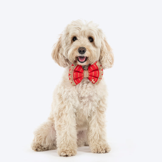 HUFT Royal Rang Bow Tie For Dog - Red
